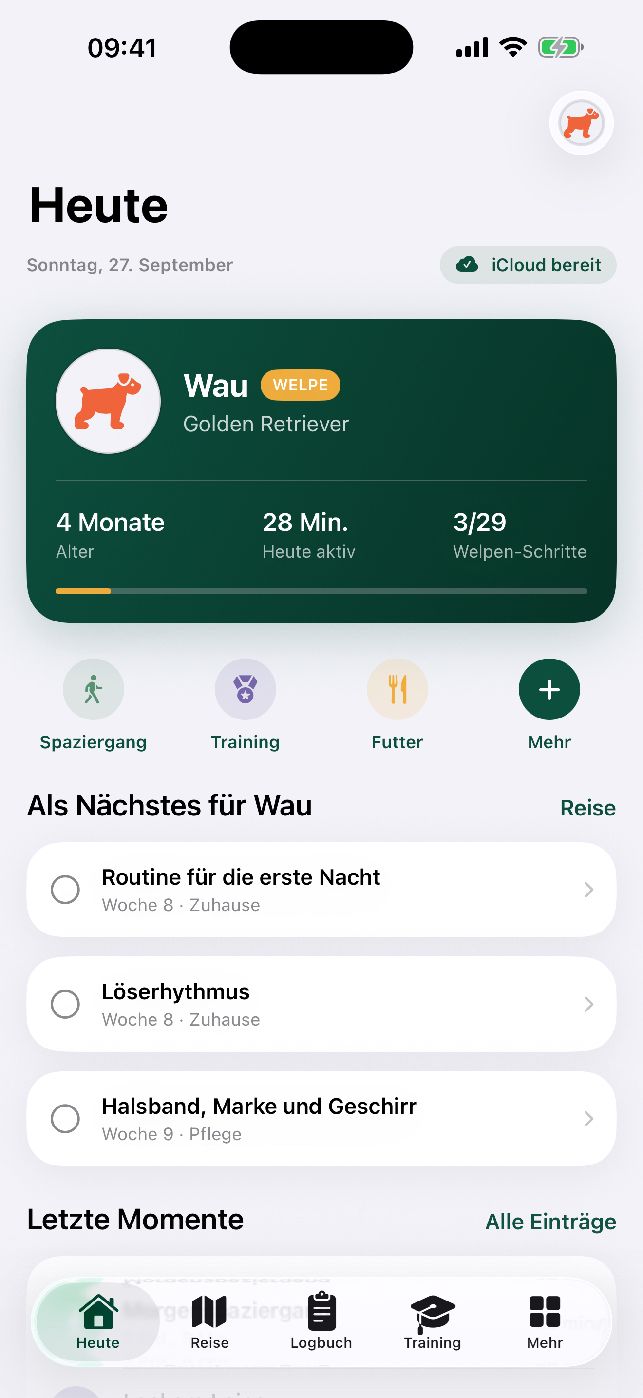 Wau auf einem iPhone